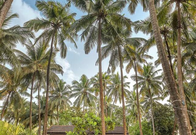 Beachfront 1 BHK Private Pool Villa