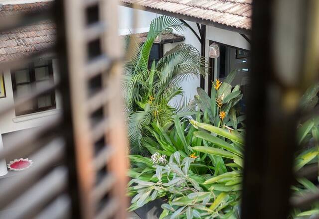 Luxury 20 BHK Private Pool Villa photo 3